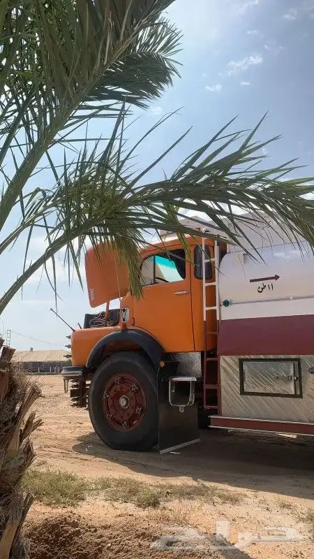 للبيع وايت عادي بوز برتقالي 2