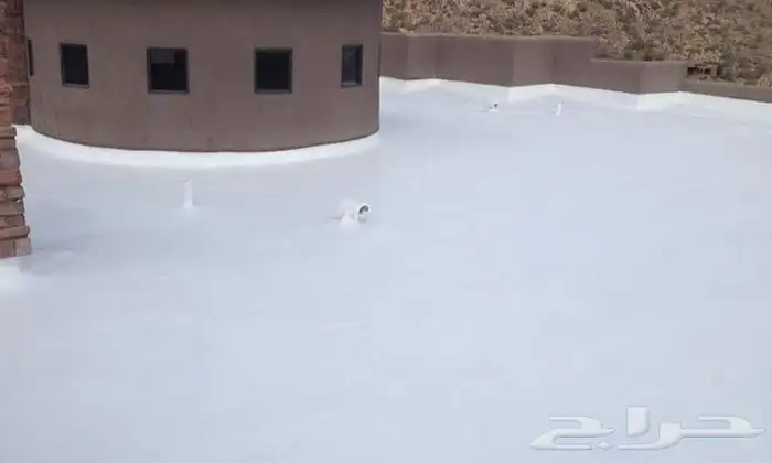 دهان بريده القصيم 3