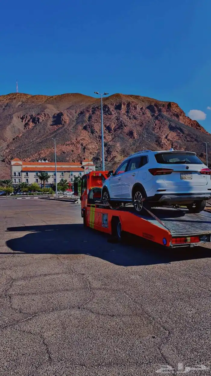 سطحة المدينة المنورة الى جميع انحاء المملكة 4