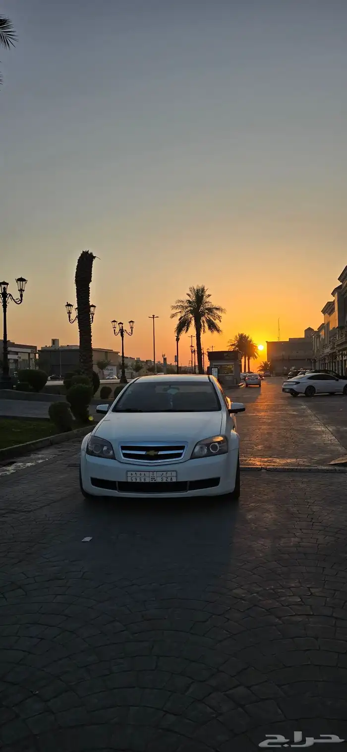 كابرس للبيع 2013 الحد 35 14