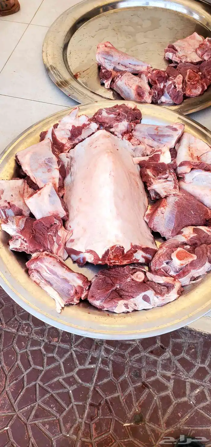 طباخ متنقل أتصل نصل 2