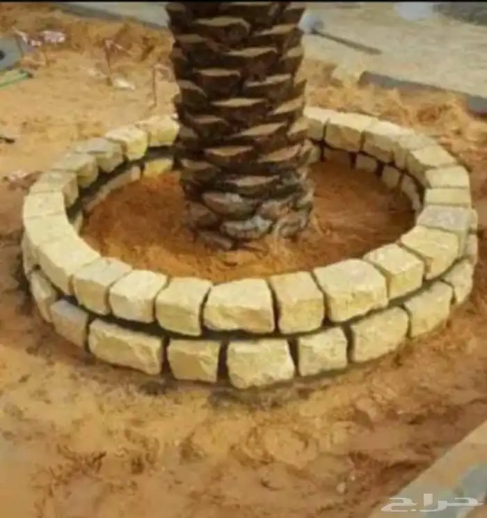 شبوك مزارع ومواقع ونخيل 7