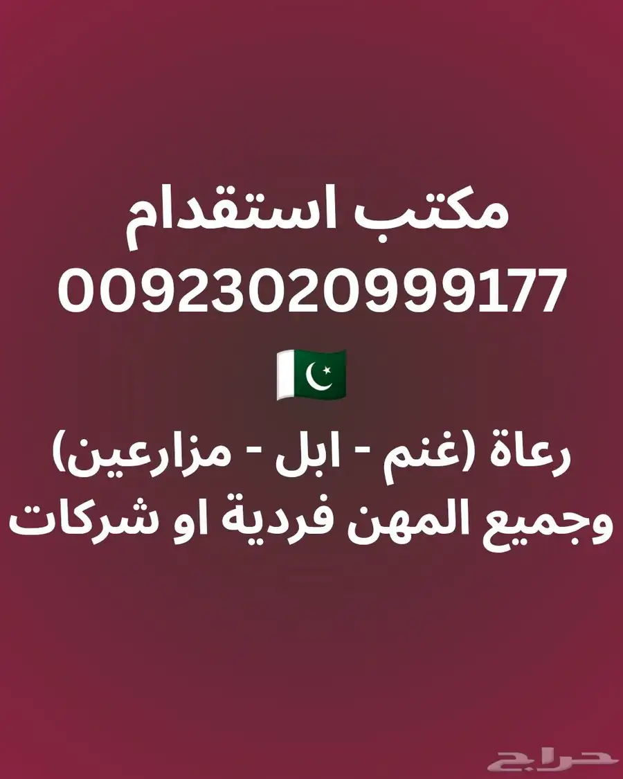 رعاة غنم وابل 0