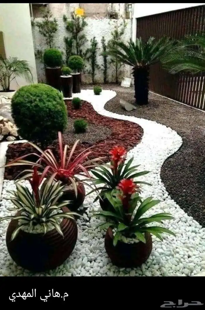 مهندس استشاري زراعي 30