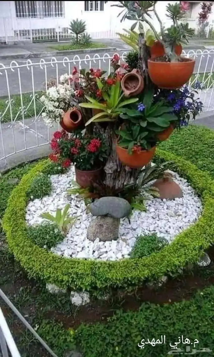 مهندس استشاري زراعي 46