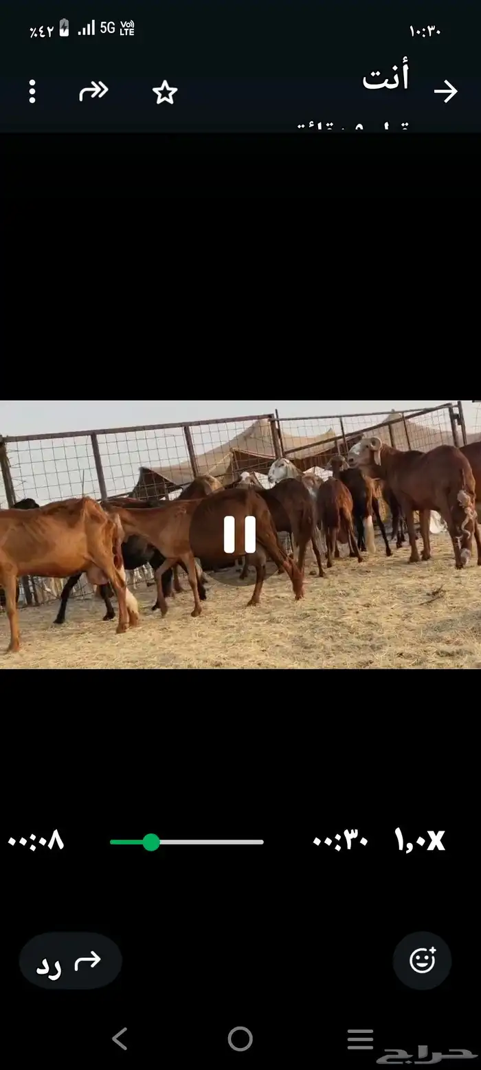 سواكن عددها 50 14