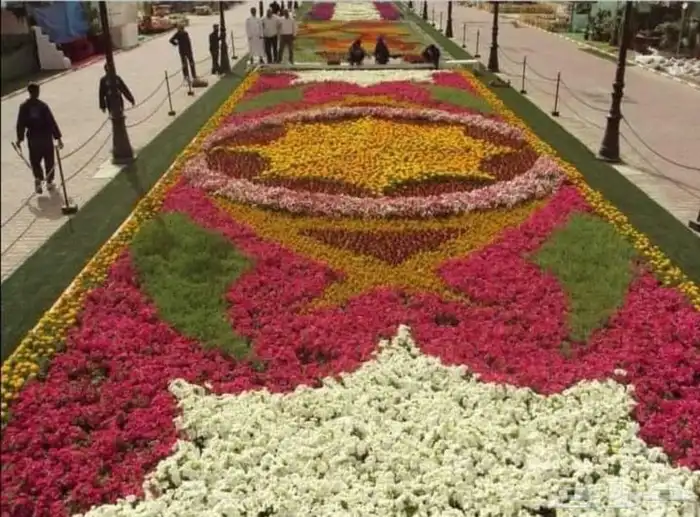 مهندس استشاري زراعي 28