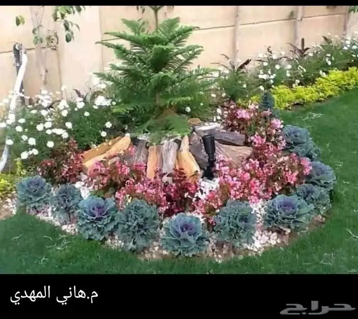 مهندس استشاري زراعي 43