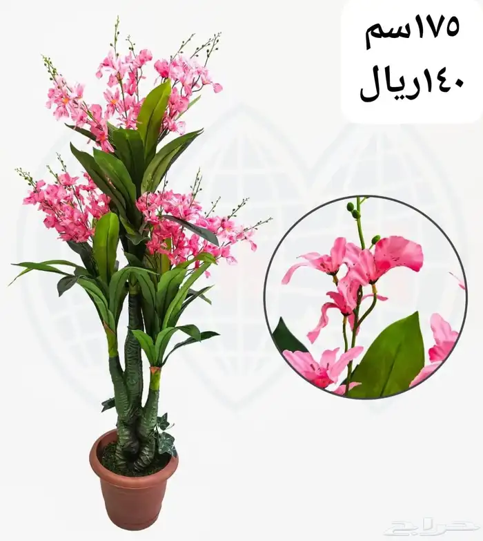 شجر بورد ملون 22