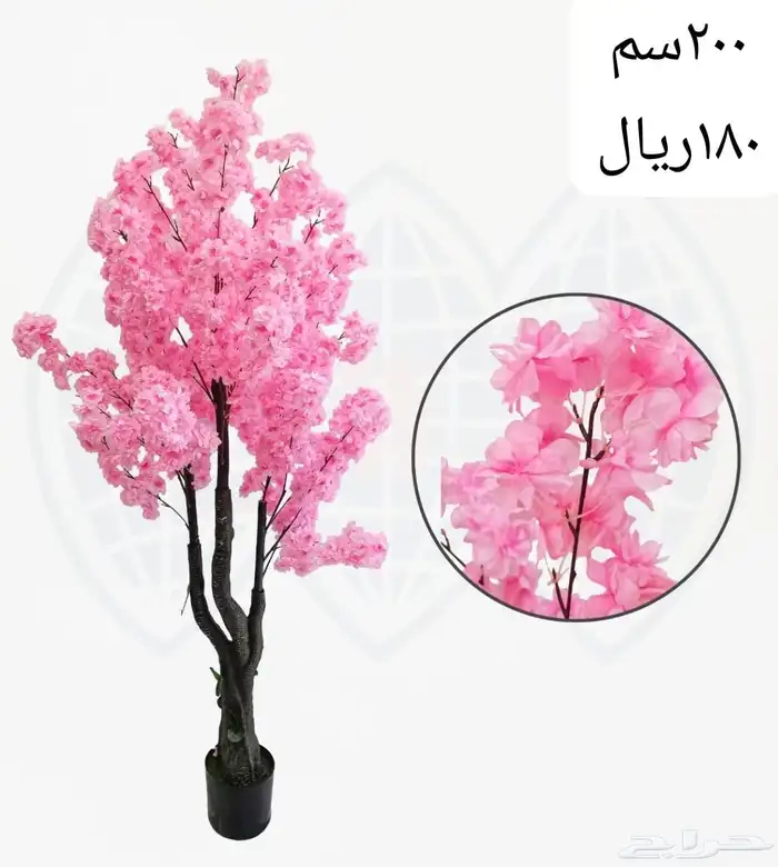 شجر بورد ملون 35