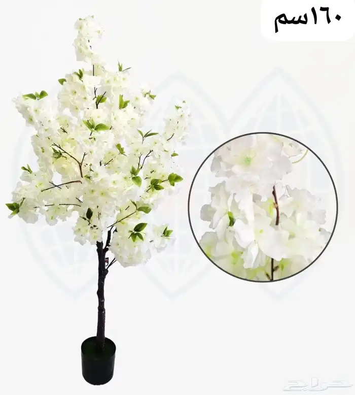 شجر بورد ملون 27