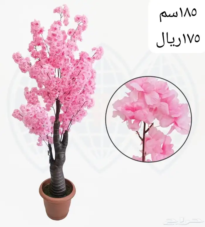 شجر بورد ملون 30