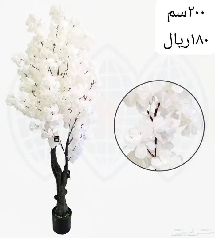 شجر بورد ملون 33