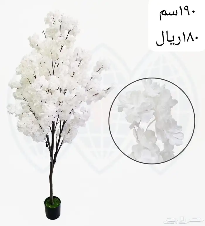 شجر بورد ملون 32