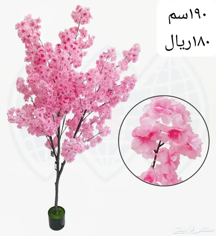 شجر بورد ملون 31