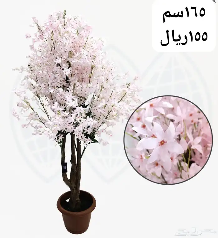 شجر بورد ملون 24