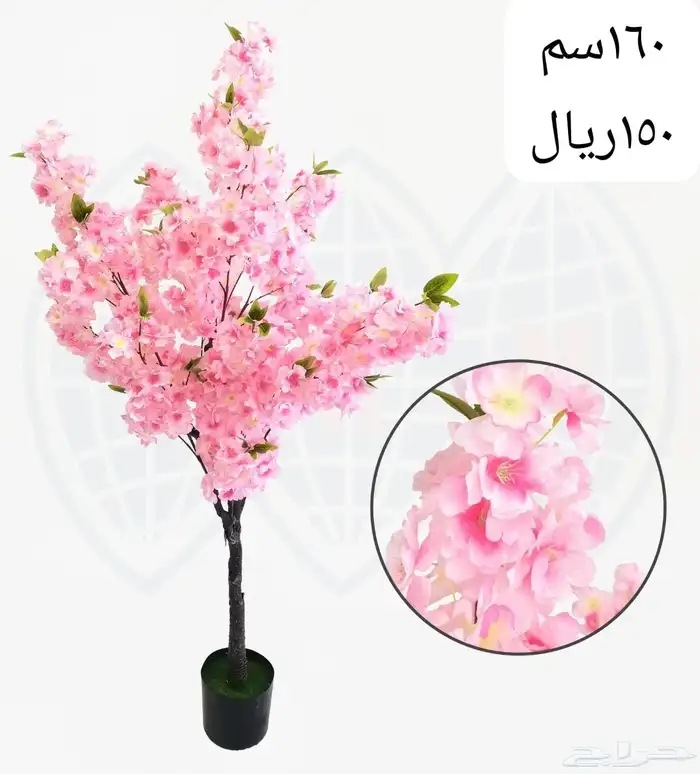 شجر بورد ملون 28