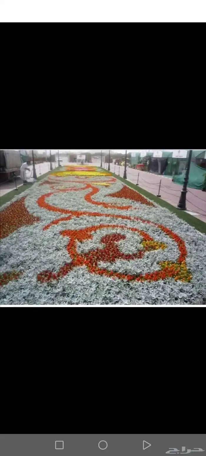 مهندس استشاري زراعي 36