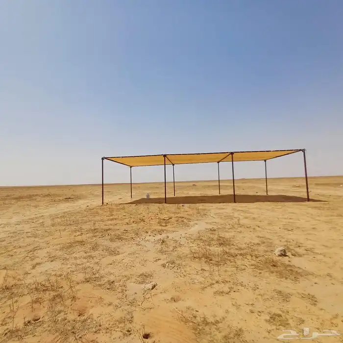 مضلات الإبل 4
