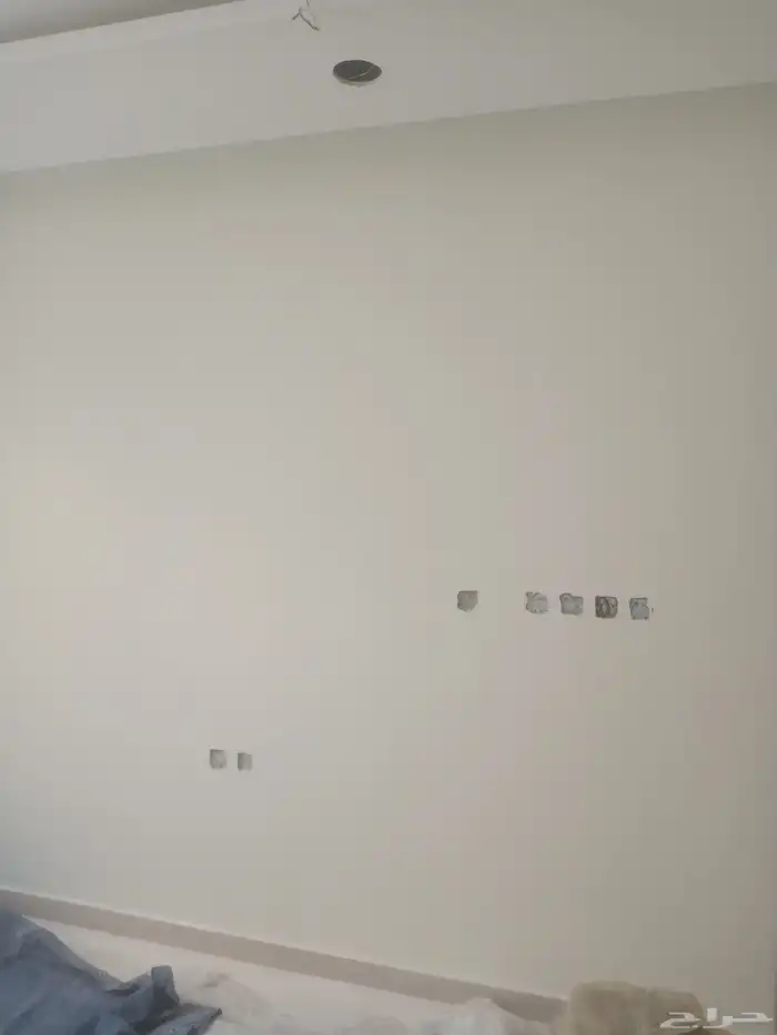 دھان بويات داخلي 3