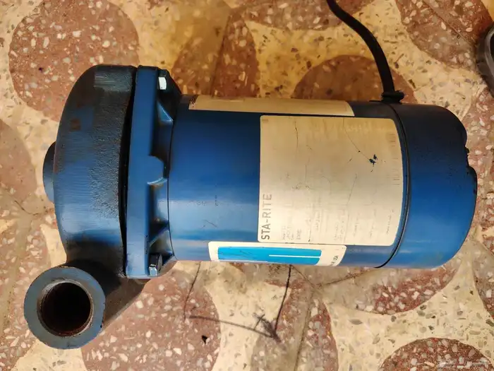 دينمو سمنان نص حصان 2