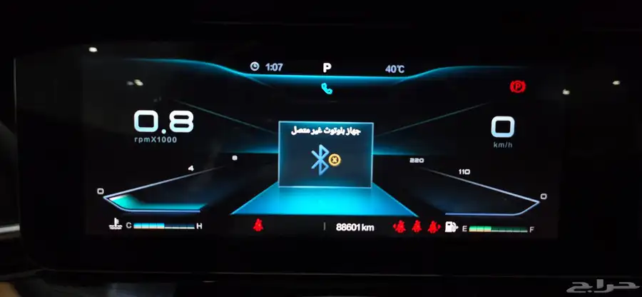 فاو بيستون 2022 15