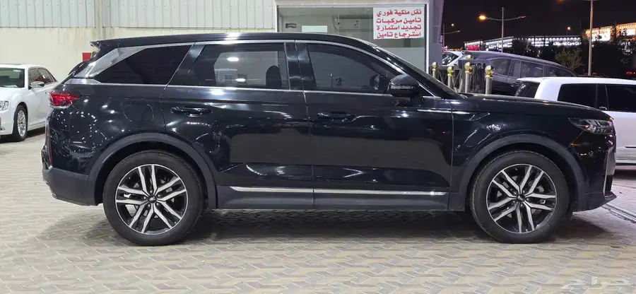 فاو بيستون 2022 3