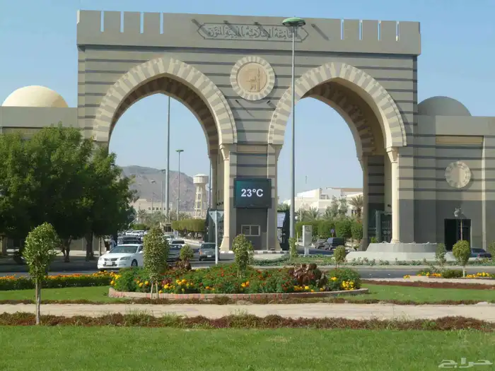 مهندس استشاري زراعي 33