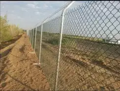 تركيب شبوك وزرعه نخل 3