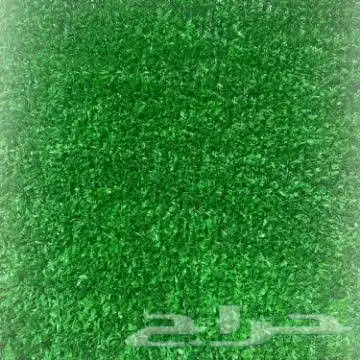 تزيين الحدائق والمنازل بالاشجار والنخيل والنجيل الطبيعي 12