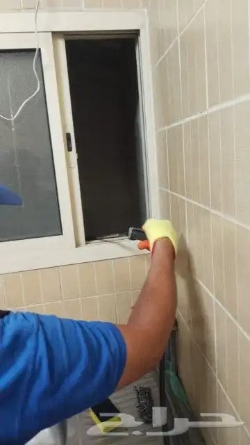 شركة ليدو لمكافحة الحشرات والنظافة 1