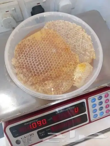 مناحل 2