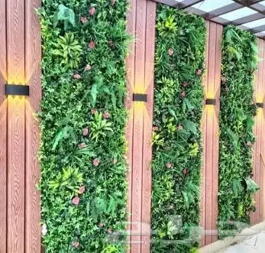 تزيين الحدائق والمنازل بالاشجار والنخيل والنجيل الطبيعي 9