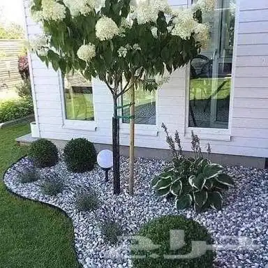 تزيين الحدائق والمنازل بالاشجار والنخيل والنجيل الطبيعي 6
