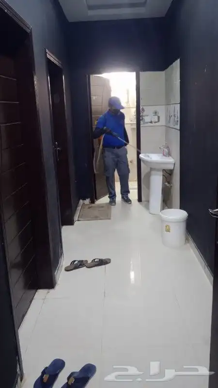 شركة ليدو لمكافحة الحشرات والنظافة 2