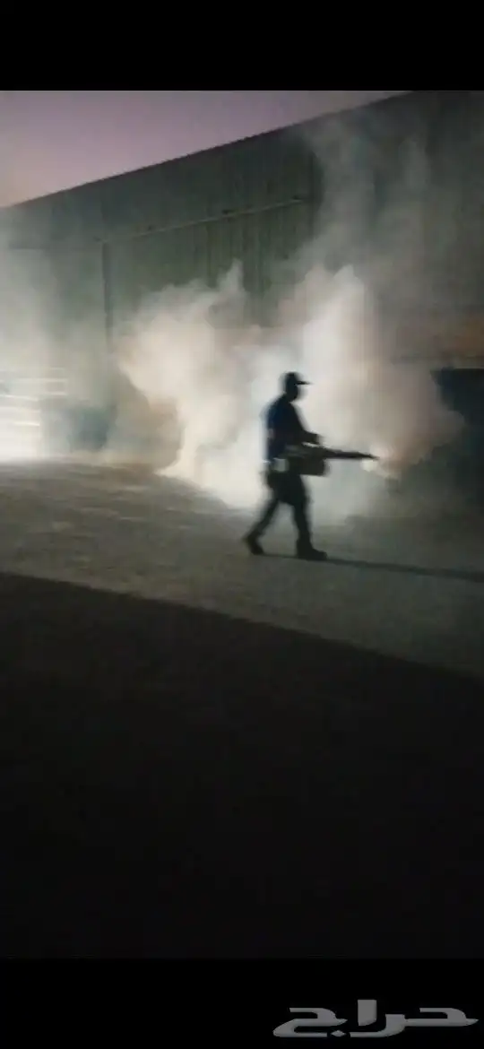 شركة ليدو لمكافحة الحشرات والنظافة 3