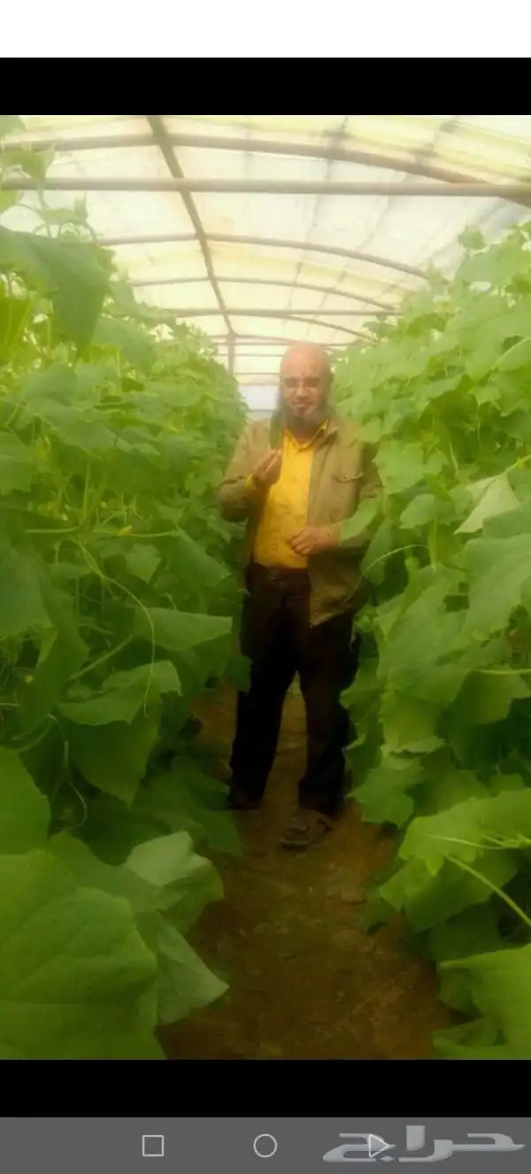 مهندس استشاري زراعي 19
