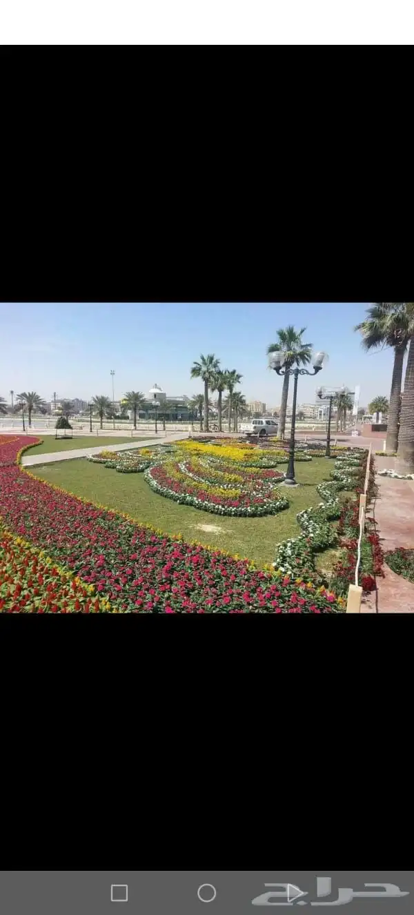 مهندس استشاري زراعي 13