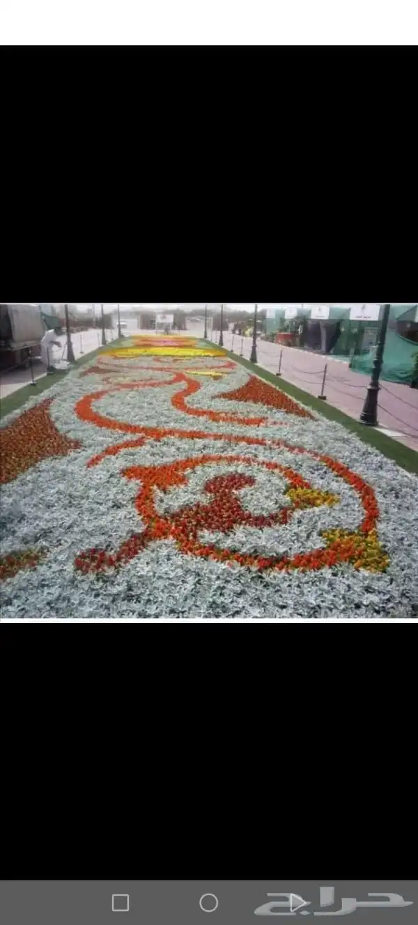 مهندس استشاري زراعي 1