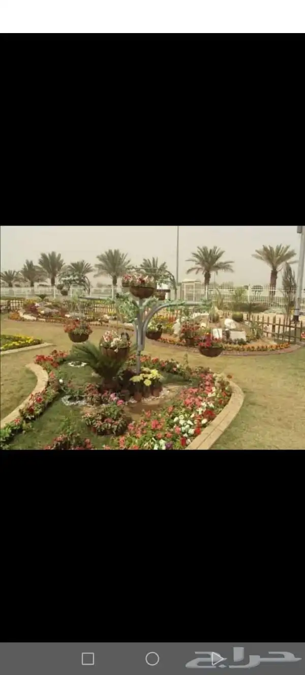 مهندس استشاري زراعي 4