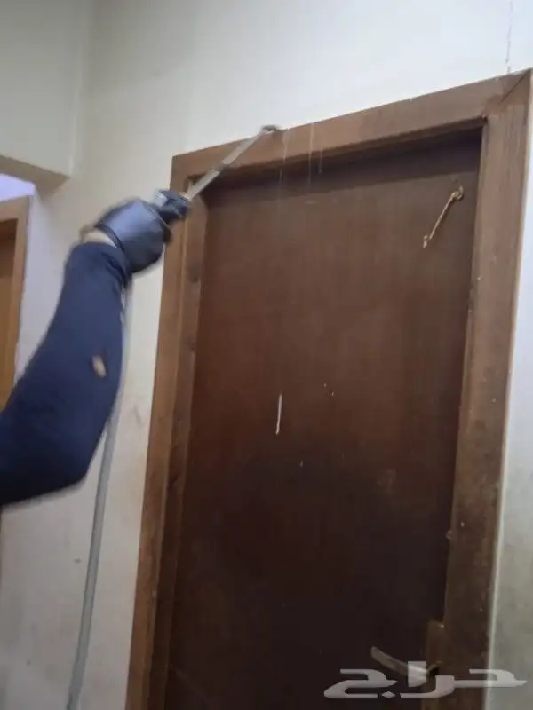 شركة ليدو لمكافحة الحشرات والنظافة 6