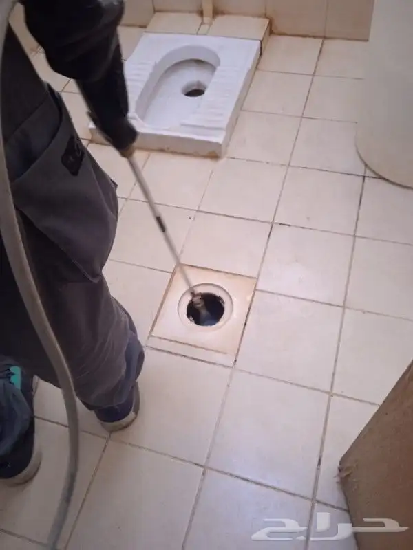 شركة ليدو لمكافحة الحشرات والنظافة 5