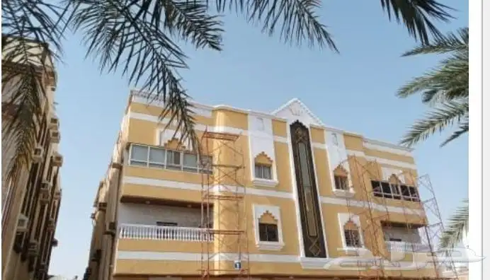 معلم دهان بويا بروفايل 6