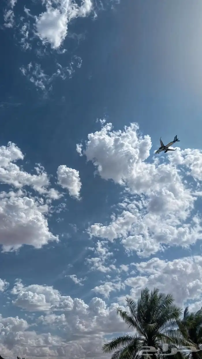 يومي اسبوعي شهري سنوي مطل على البحر وغيره 5