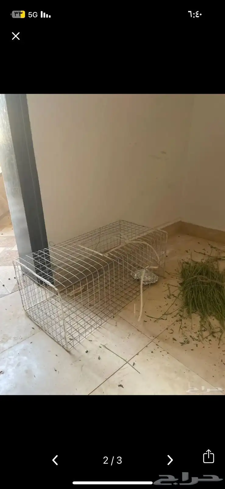 شبوك 0