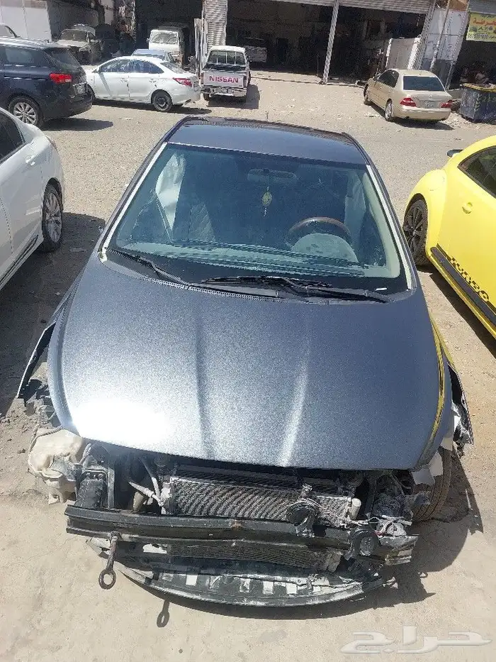 الوان كما لم ترها من قبل 7