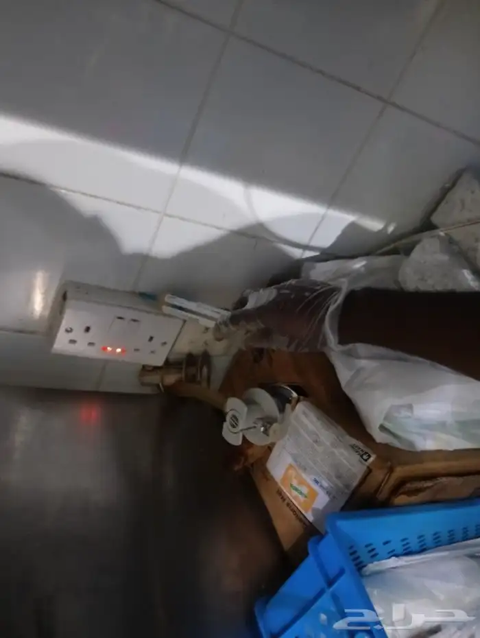 شركة ليدو لمكافحة الحشرات والنظافة 9