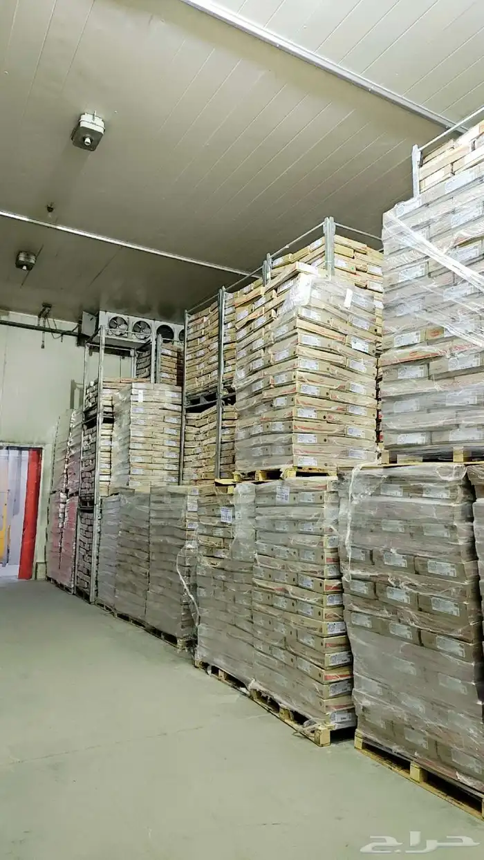 للإيجار مستودع فيه غرفة تبريد صناعية فائقة التجميد (-18 3