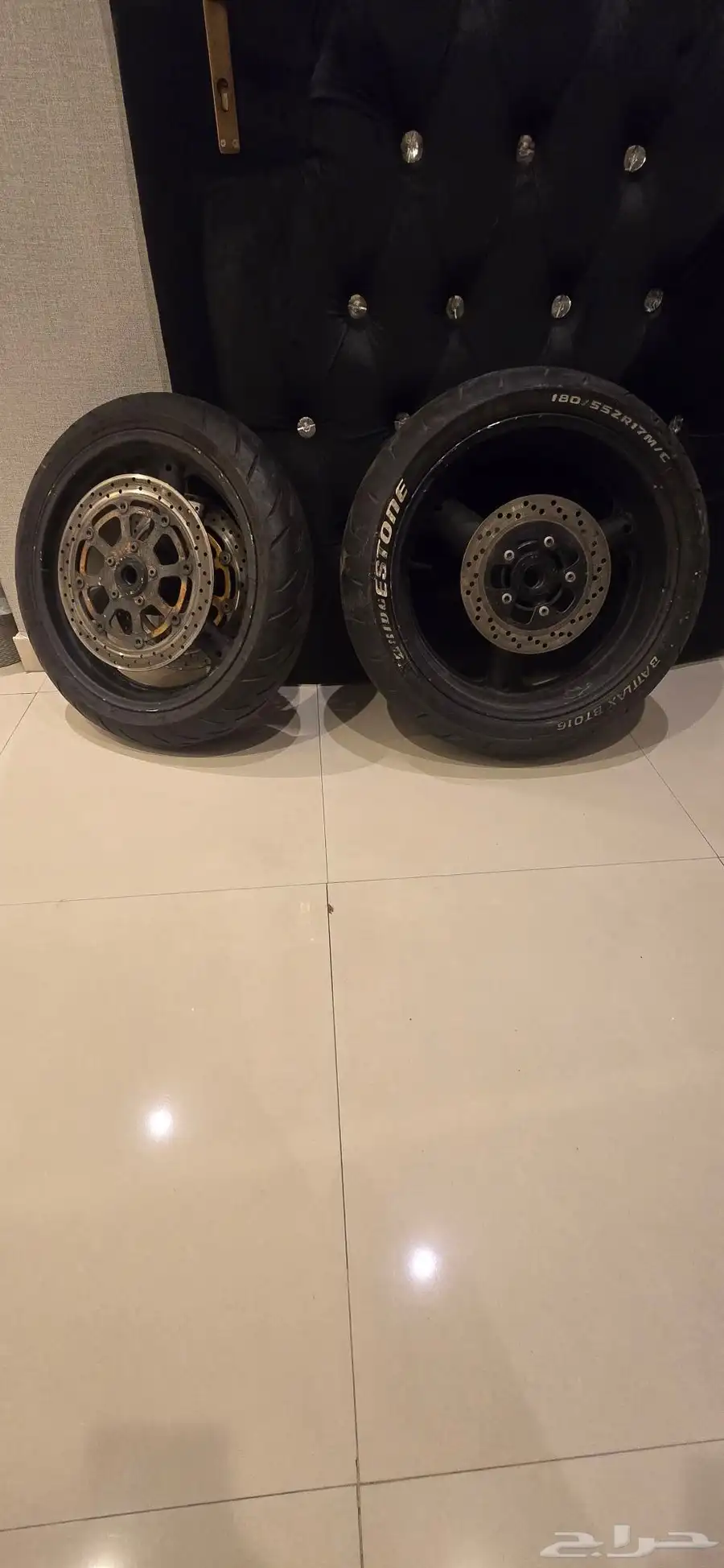 جنوط دباب هيبوزا 1