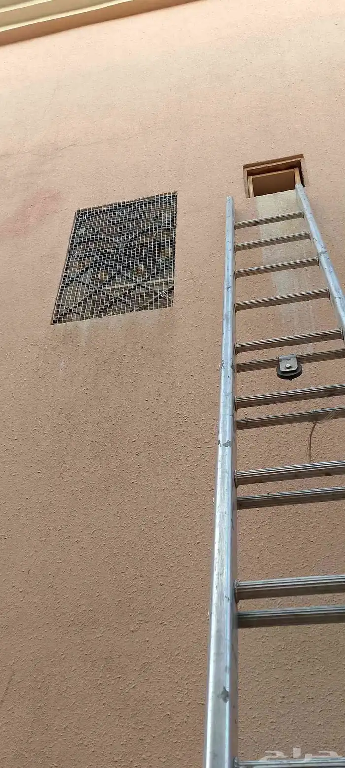 طارد حمام تركيب شبك و اشواك مانع الحمام 4